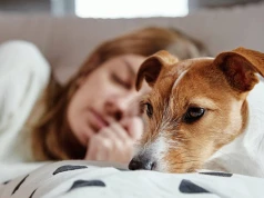 Śpisz w łóżku ze swoim zwierzakiem? Psychologia mówi wprost
