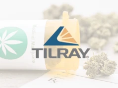 Tilray umacnia swoją pozycję. Produkcja konopi rośnie