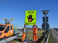 Nowy trend na drogach zbiera śmiertelne żniwo. Wszystko dla lajków