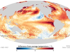 El Niño rozwija się wyjątkowo szybko. Oceanolog ostrzega