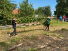 Żniwa chmielowe w parku etnograficznym w Dziekanowicach (wideo)