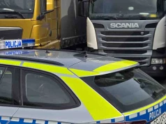 Pijany kierowca ciężarówki wiózł towar z Irlandii. Wpadł w Świecku