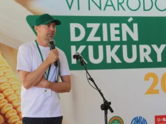 Kukurydza miała pod górkę. Eksperci ocenili sezon 2026