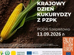 144 odmiany kukurydzy w jednym miejscu. Krajowy Dzień Kukurydzy już 13 września w Szepietowie