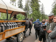 Ruszają testy. Zaprzęgi konne do Morskiego Oka na nowych zasadach