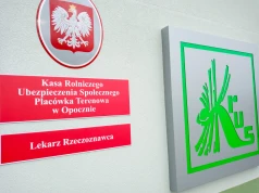 Od 1 września nowe limity dorabiania do rent. Kiedy KRUS zmniejszy lub zawiesi świadczenie?