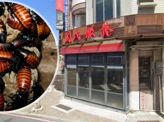 Incydent w popularnej restauracji. Po lokalu zaczęły biegać karaluchy