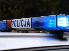 Fałszywe ogłoszenia o sprzedaży broni i najmie domków. Setki zarzutów