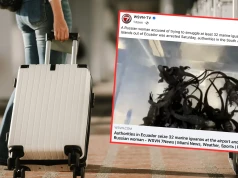 Rosjanka zatrzymana na lotnisku w Ekwadorze. W walizce miała 32 legwany morskie