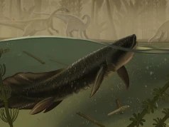 Między żebrami dinozaura. Ryba dwudyszna odsłania świat późnego triasu