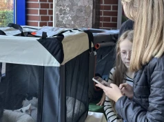 Kocia wystawa po raz drugi. Podopieczni schroniska znów będą szukać swoich domów