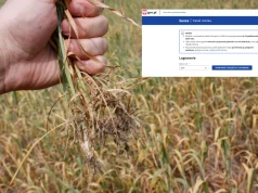 ARiMR przejmie aplikację do zgłaszania szkód? Jest projekt zmian