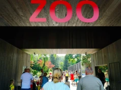Polskie zoo ma wyjątkową atrakcję. Zwierzęta zobaczymy z wysokości