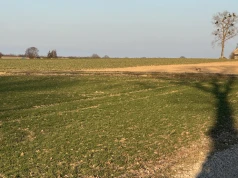 Ubezpieczenia rolne po nowemu. Od 1 września ważne zmiany dla tych gospodarstw