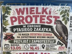 Żoliborz chce budować, mieszkańcy chcą zachować zieleń. Walka o Ptasi Zakątek