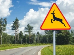 Kto zapłaci za rozbite auto? Brutalna prawda o znaku A-18b