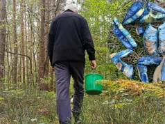 Wygląda jak z "Avatara", a Polacy go zajadają. Znacie tego grzyba?
