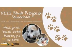 XIII Piknik Przyjaciół Schroniska już 13 września w Toruniu