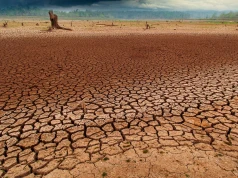 El Niño coraz silniejsze. Czy przejdzie do historii?