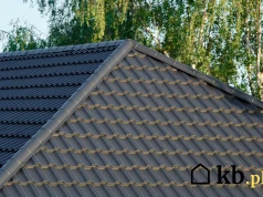 Dach wyglądał idealnie przez kilkanaście lat. Kilka centymetrów niżej trwał kosztowny problem