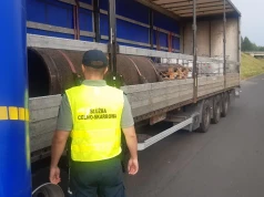 21 ton nielegalnych odpadów jechało z Niemiec do Polski. Transport zatrzymany na A4