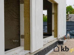 Po 15 latach otworzyli ścianę z wełną mineralną. To znaleźli w środku