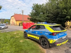 Potworny wypadek w gminie Złoczew. Zginęła kobieta, która przechodziła z dziećmi przez jezdnię