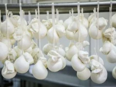 Zapomnij o mozzarelli z zalewy. Ten ser topi się idealnie i nie puszcza ani kropli wody