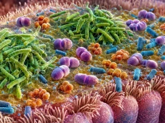 Pseudomonas aeruginosa nie działa w izolacji. Model dróg oddechowych ujawnia rolę innych bakterii