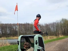 Przyczepka dla psa - rozwiązanie dla osób, które nie chcą zostawiać pupila w domu
