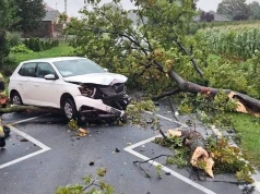 Zacznie się po 15:00. Drzewa spadną na samochody, wyłączą prąd