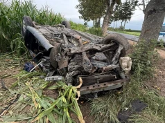 Toyota uderzyła w drzewo i dachowała. 57-latka zginęła na miejscu