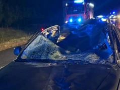 Niebezpieczne zderzenie z łosiem na S5. Trzy osoby zabrane do szpitala