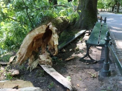 IMGW ostrzega mieszkańców Krakowa. Tej nocy może być niebezpiecznie