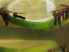Naukowcy zbadali popularną przyprawę. Mogą pomóc w antybiotykoterapii