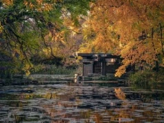 Ukryte Chicago – Alfred Caldwell Lily Pool
