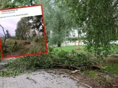 Trąba powietrzna w Wielkopolsce? Strażacy mają setki zgłoszeń