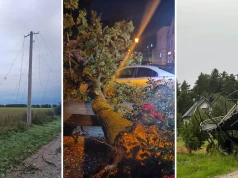 Powalone drzewa, zerwane dachy i linie energetyczne. Wichury w Wielkopolsce