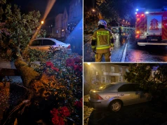 Alarm za alarmem. Strażacy usuwali skutki silnego wiatru