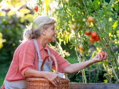 Nie chcą zamykać seniorów w ośrodku. Dają im gospodarstwo, zwierzęta i ogród