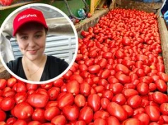 Wskoczyłam na kombajn w Pudliszkach. W tej wsi od wieku powstaje kultowy ketchup