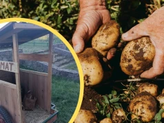 17-latek z Podlasia zbudował kartoflomat. "Cena śmieszna w porównaniu z marketami"