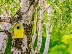 Ogród Pamięci zamiast nagrobka. Takich pochówków u nas jeszcze nie było. Wyjątkowe miejsce spoczynku pod Warszawą