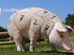 Argentyna zwiększyła eksport wieprzowiny o prawie 88% rdr. Padł rekord z 5 lat