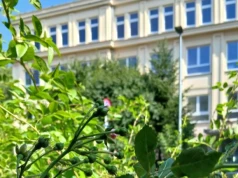 Zielona lekcja pod gołym niebem. Przy ul. Urzędniczej powstał ogród deszczowy