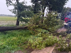 Skutki burzy na Pomorzu. Kilkadziesiąt interwencji