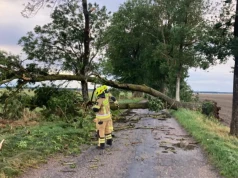 Drzewa poleciały na drogi. Silny wiatr dał we znaki