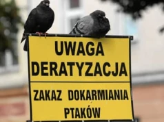 Śmierć zwierzęcia złapanego przez lep na gryzonie jest straszna. Te pułapki powinny być zakazane