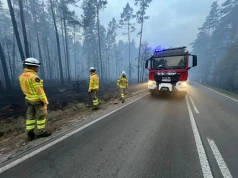 Blisko 980 tys. zł strat po pożarze Puszczy Solskiej