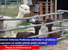 Klub Jeździecki Folkowa Podkowa obchodzi 7. urodziny i zaprasza na wielki piknik pełen atrakcji